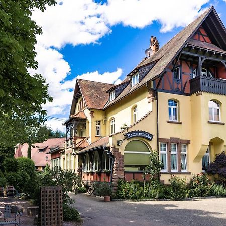 Hotel Dammenmuehle Lahr/Schwarzwald Extérieur photo