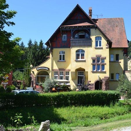 Hotel Dammenmuehle Lahr/Schwarzwald Extérieur photo